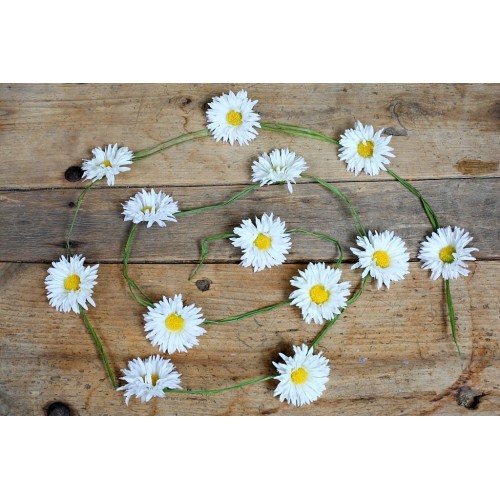 GUIRNALDA DE MARGARITAS, 180 CM 2