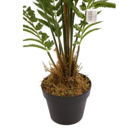 HELECHO ARBOREO CON MACETA, 120CM