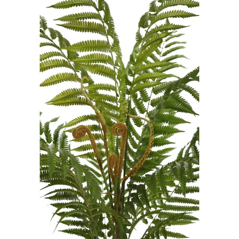 HELECHO ARBOREO CON MACETA, 120CM