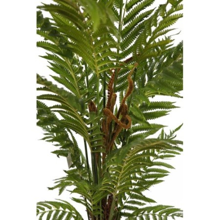HELECHO ARBOREO CON MACETA, 150 CM