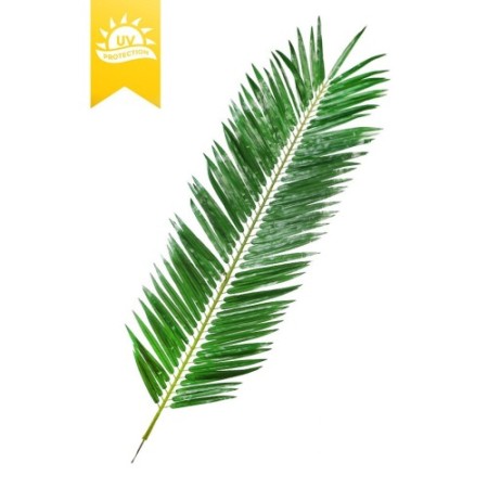 HOJA 150CM UV