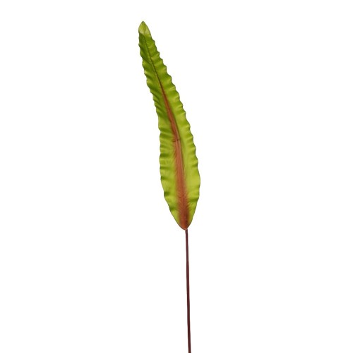 HOJA DE ASPLENIUM 91CM
