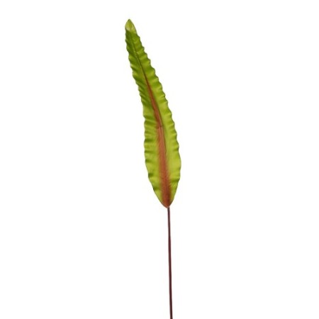 HOJA DE ASPLENIUM 91CM