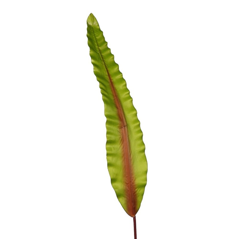 HOJA DE ASPLENIUM 91CM