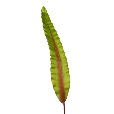 HOJA DE ASPLENIUM 91CM