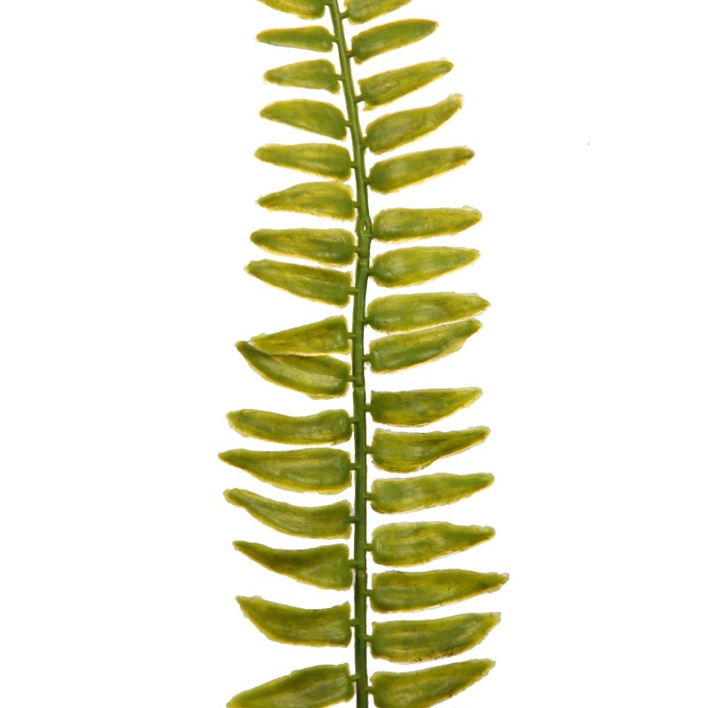 HOJA DE HELECHO 42 CM