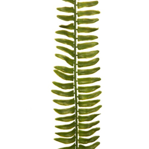 HOJA DE HELECHO 68 CM 2