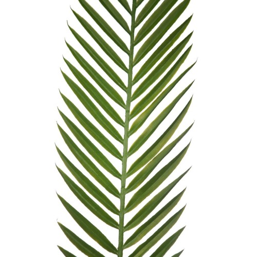 HOJA PALMERA ARTIFICIAL 95CM 2