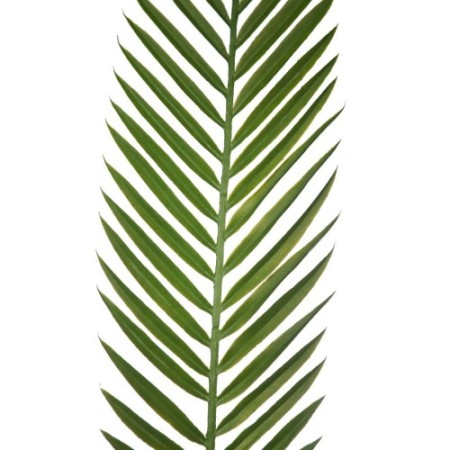 HOJA PALMERA ARTIFICIAL 95CM