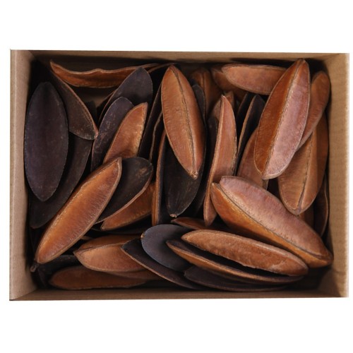 HOJAS BEAN SECAS 50UD