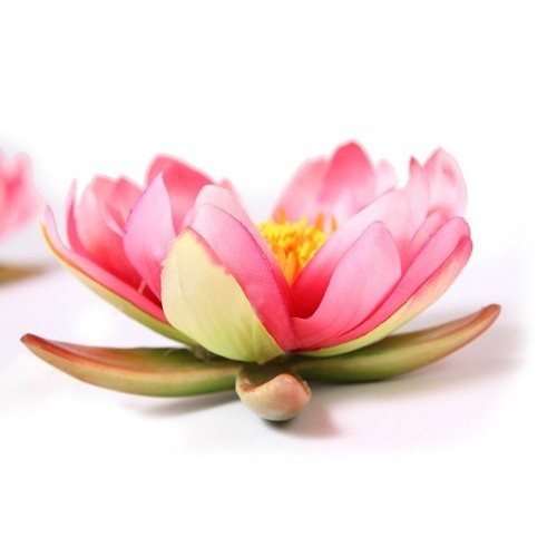 LOTUS FLOTANTE ø 15CM 2