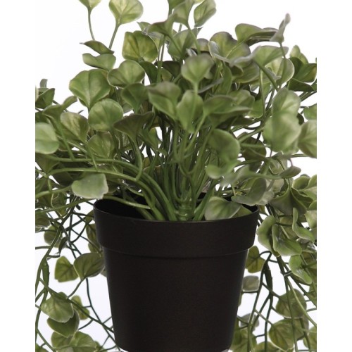 MACETA COLGANTE DICHONDRA ARTIFICIAL 49CM 2