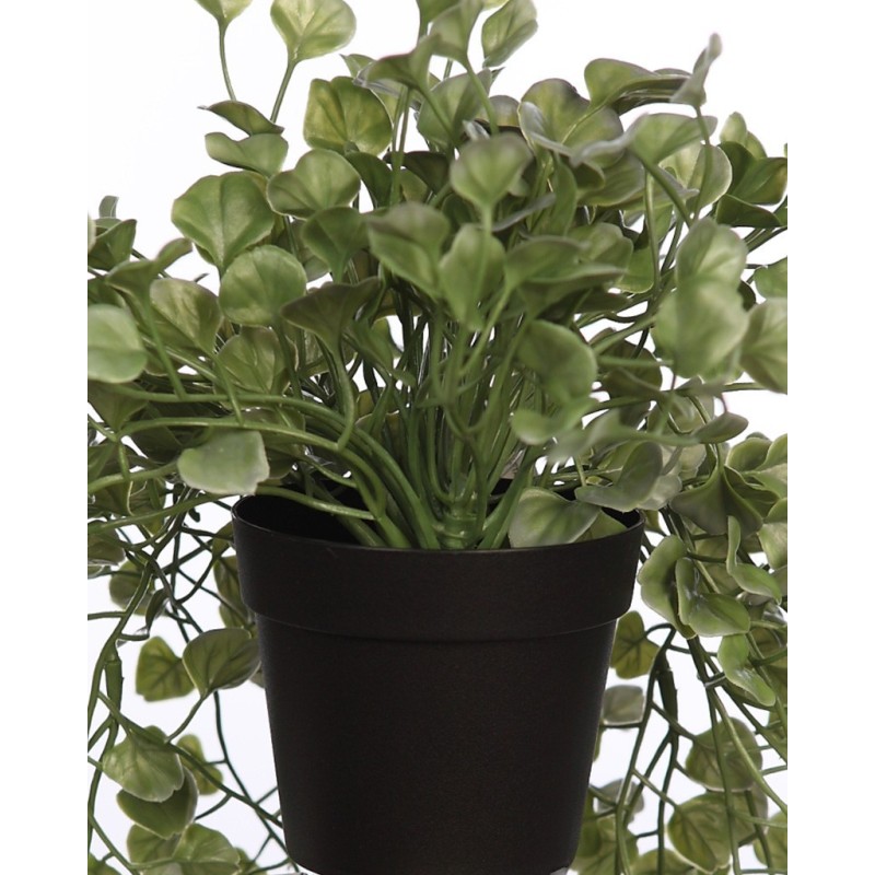 MACETA COLGANTE DICHONDRA ARTIFICIAL 49CM