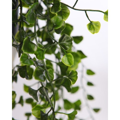 MACETA COLGANTE DICHONDRA VERDE 49CM 2