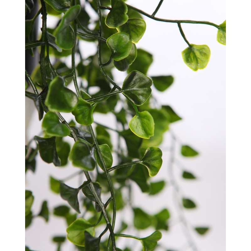 MACETA COLGANTE DICHONDRA VERDE 49CM