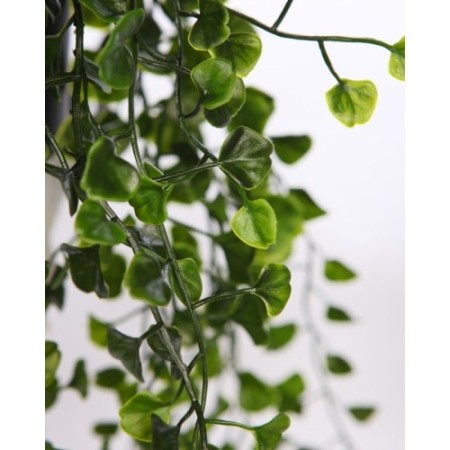 MACETA COLGANTE DICHONDRA VERDE 49CM