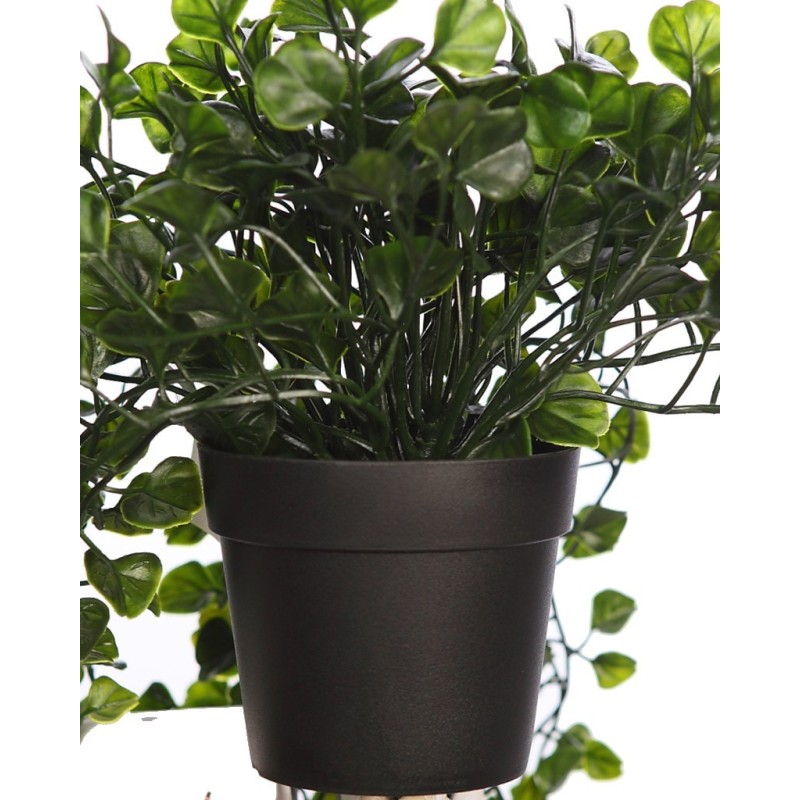 MACETA COLGANTE DICHONDRA VERDE 49CM