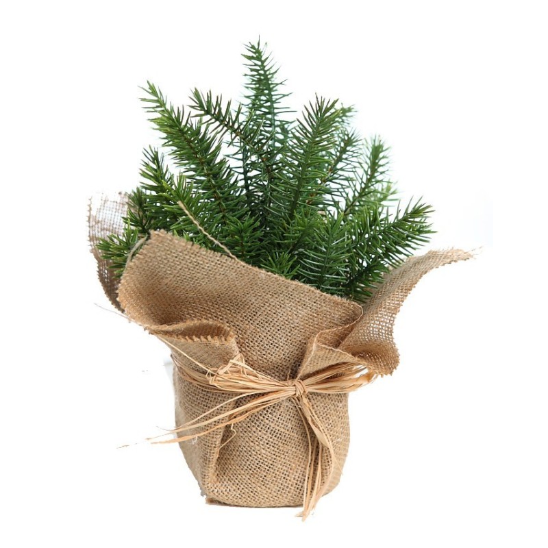 MACETA PINO CON SACO 22CM