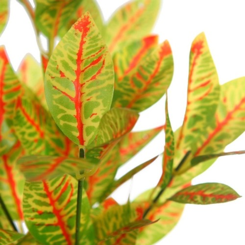 MATA CROTON EN MACETA 2