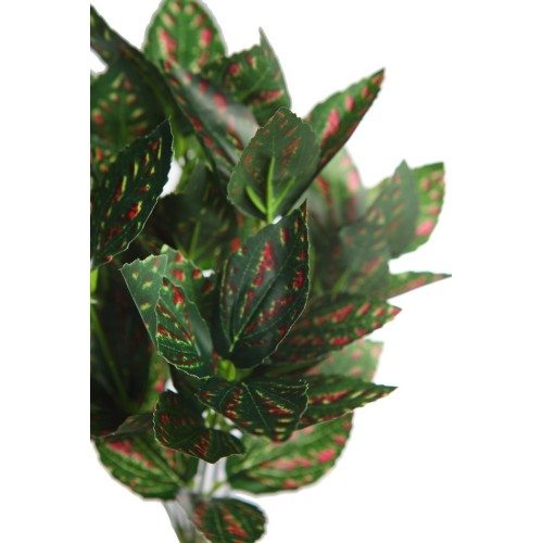 MATA TRADESCANTIA 35CM 2