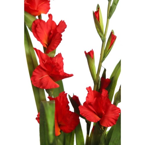 MAZO GLADIOLOS ARTIFICIALES ROJO 115CM 2
