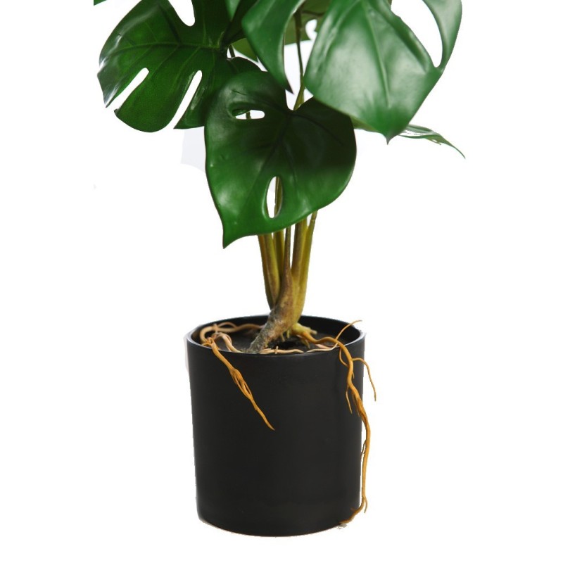 MONSTERA  43CM