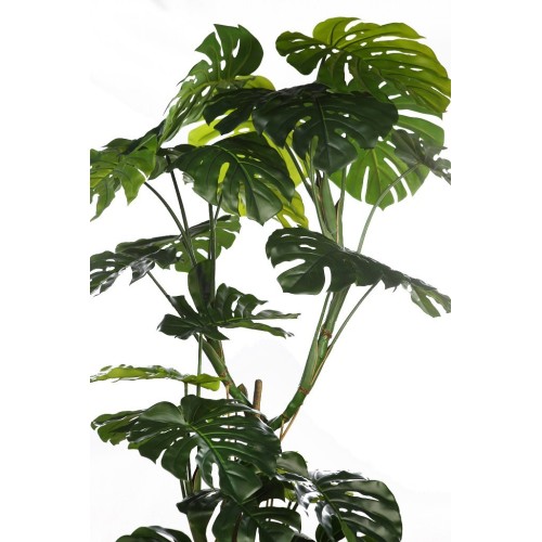 MONSTERA ARTIFICIAL 200CM 2