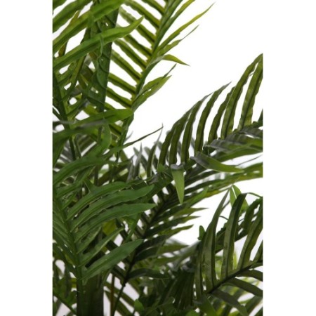 PALMERA 170CM