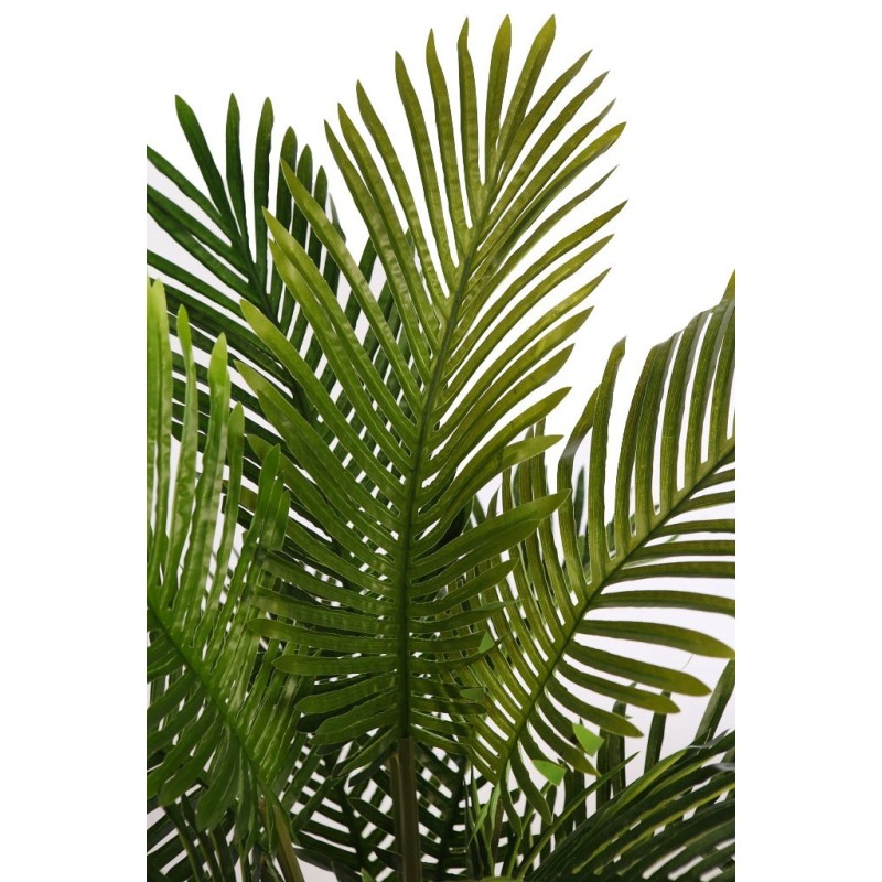 PALMERA ARECA 95CM
