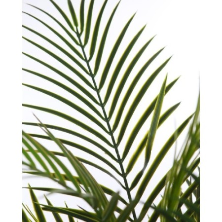 PALMERA ARECA ARTIFICIAL 95CM