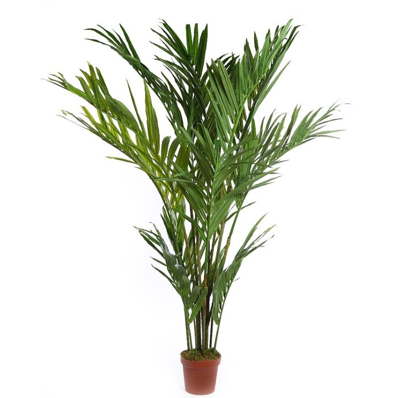PALMERA ARECA ARTIFICIAL EN MACETA 205CM