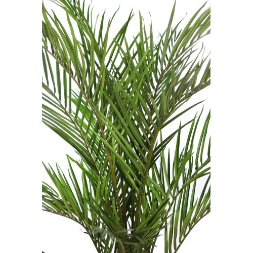 PALMERA ARTIFICIAL 150CM 2