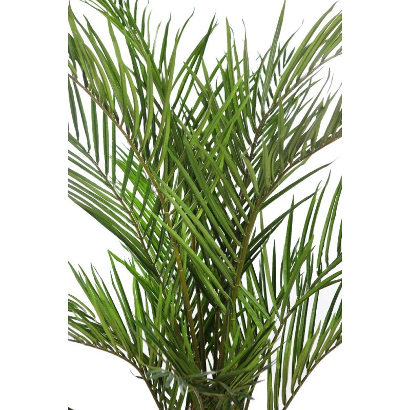 PALMERA ARTIFICIAL 150CM