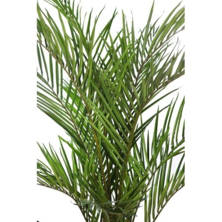 PALMERA ARTIFICIAL 150CM