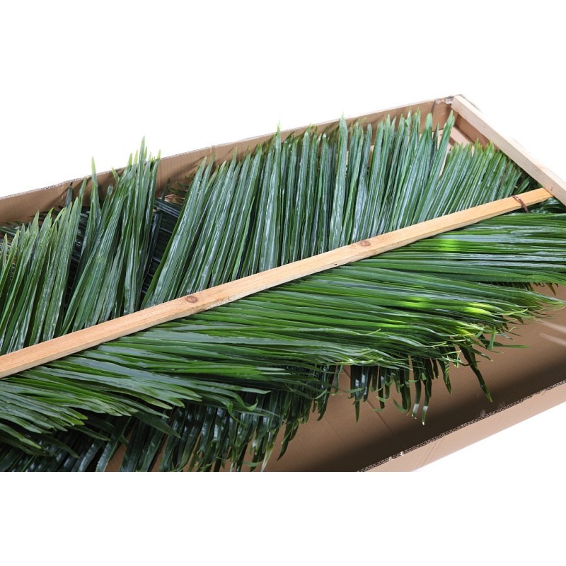 PALMERA COCOTERO ARTIFICIAL 280CM