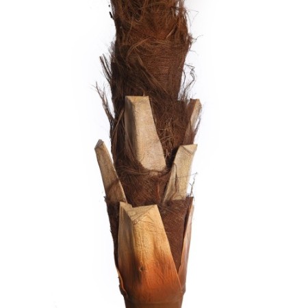 PALMERA COCOTERO ARTIFICIAL 280CM