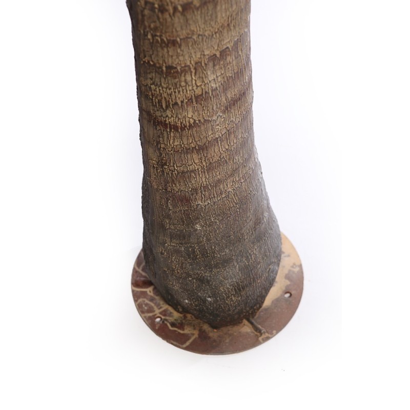 PALMERA COCOTERO ARTIFICIAL 280CM