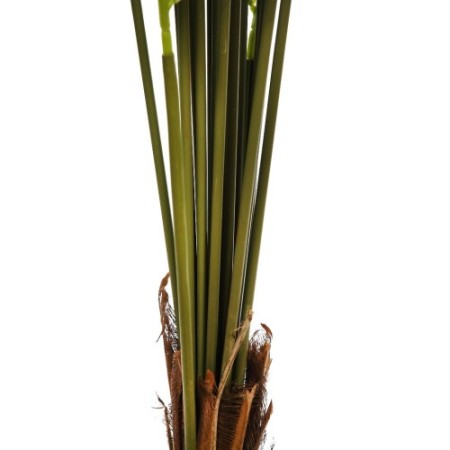 PALMERA KENTIA ARTIFICIAL 230CM