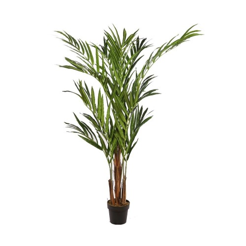 PALMERA KENTIA EN MACETA 170CM