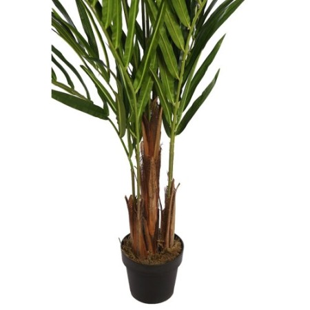 PALMERA KENTIA EN MACETA 170CM