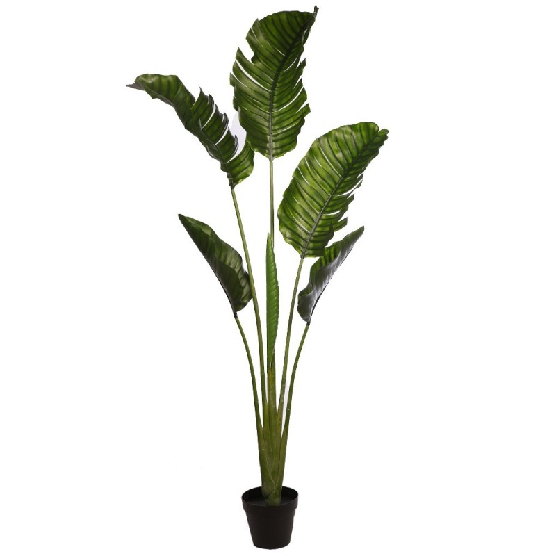 PALMERA RAVENALA ARTIFICIAL 190CM