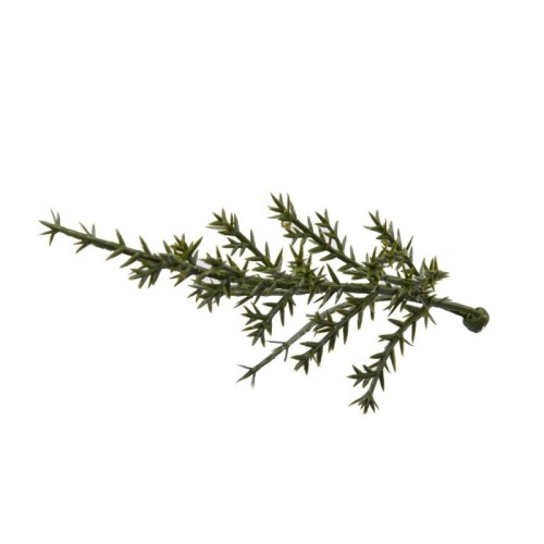 PLACA CIPRES ARTIFICIAL 50X50CM 2