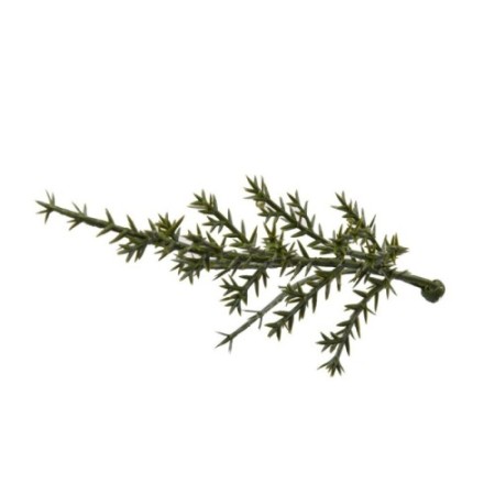 PLACA CIPRES ARTIFICIAL 50X50CM