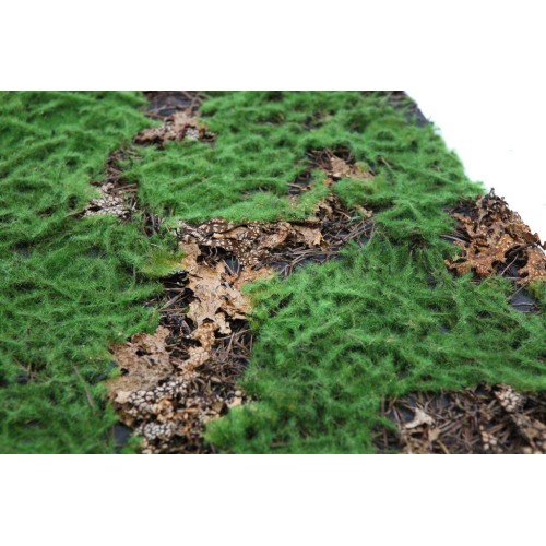 PLACA MUSGO HOJA 100X50CM 2