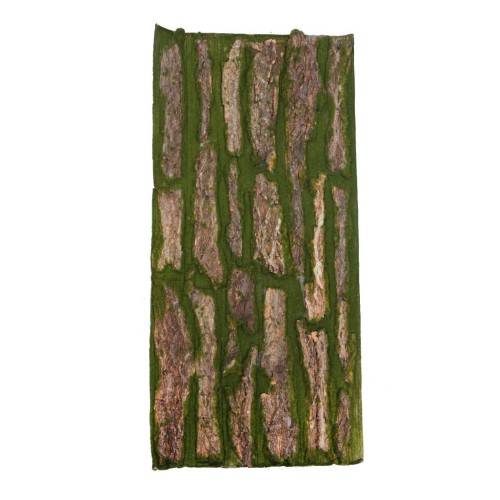 PLACA MUSGO Y MADERA 100X50CM