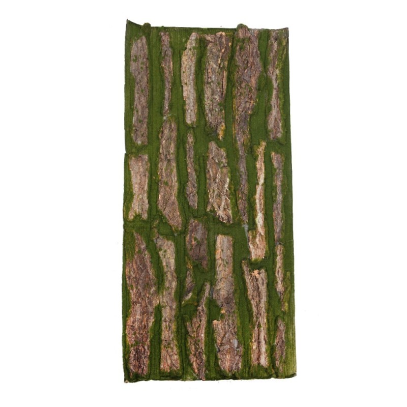 PLACA MUSGO Y MADERA 100X50CM