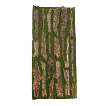 PLACA MUSGO Y MADERA 100X50CM