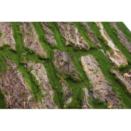 PLACA MUSGO Y MADERA 100X50CM