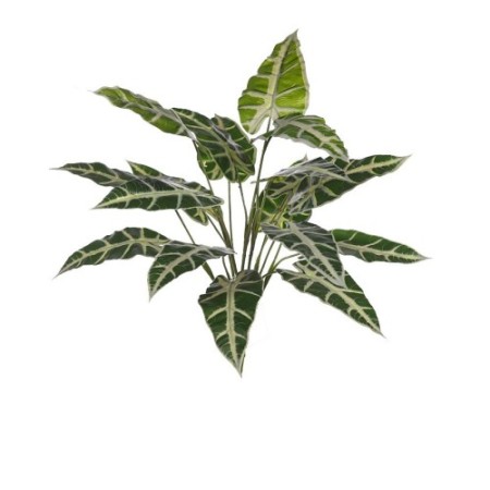 PLANTA ALOCASIA SANDERIANA ARTIFICIAL