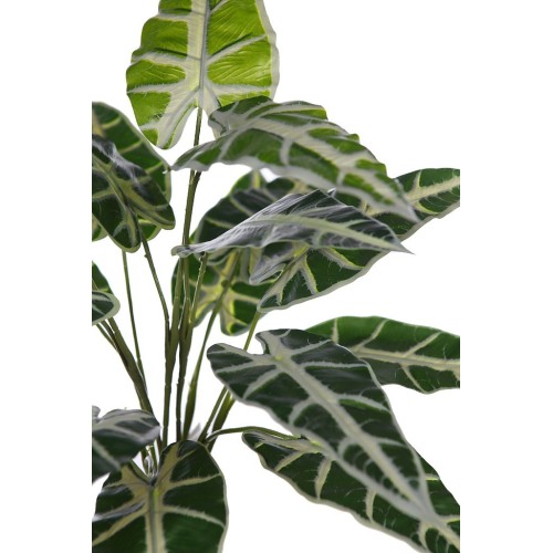 PLANTA ALOCASIA SANDERIANA ARTIFICIAL 2